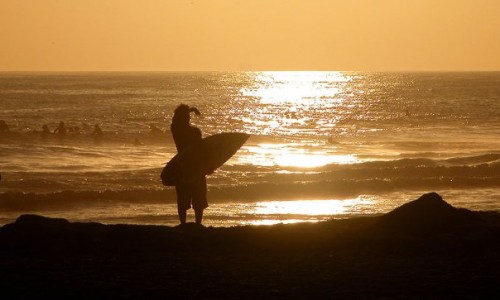 guida_turistica_omaggio_california_primopremio.net