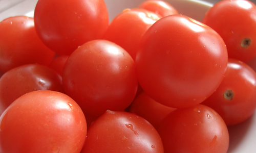 campione_omaggio_blue_tomato_primopremio.net