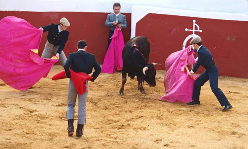 campione_omaggio_contro_corrida_primopremio.net