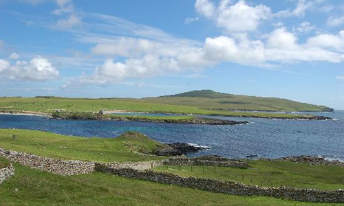 campione_omaggio_guida_shetland_primopremio.net