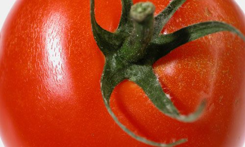 campione_omaggio_lycopene_store_primopremio.net