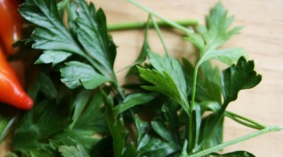 campione_omaggio_pukka_herbs_primopremio.net