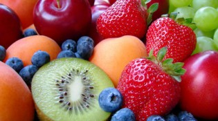 campione_omaggio_ebook_alimentazione_primopremio.net