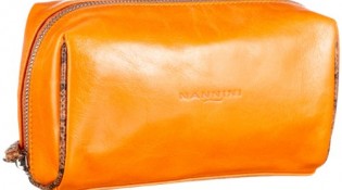 concorso_dove_si_va_nannini_borse_primopremio.net
