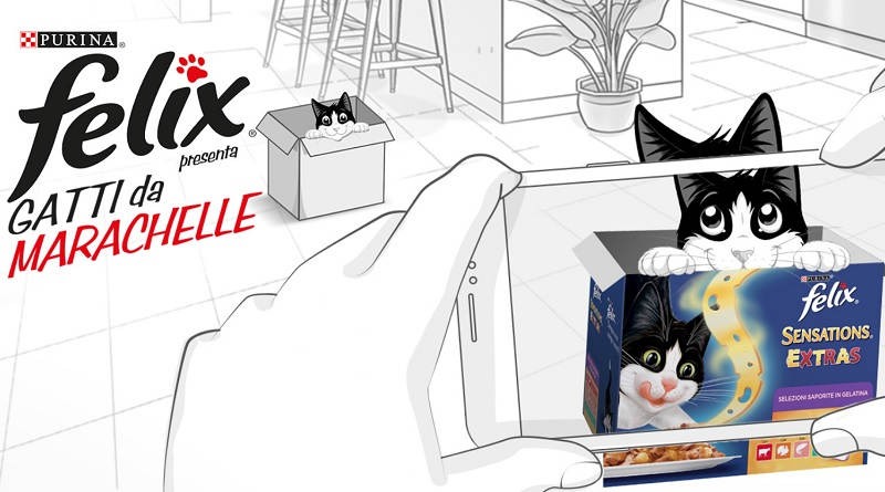 Concorso a premi Felix Purina gatti da marachelle