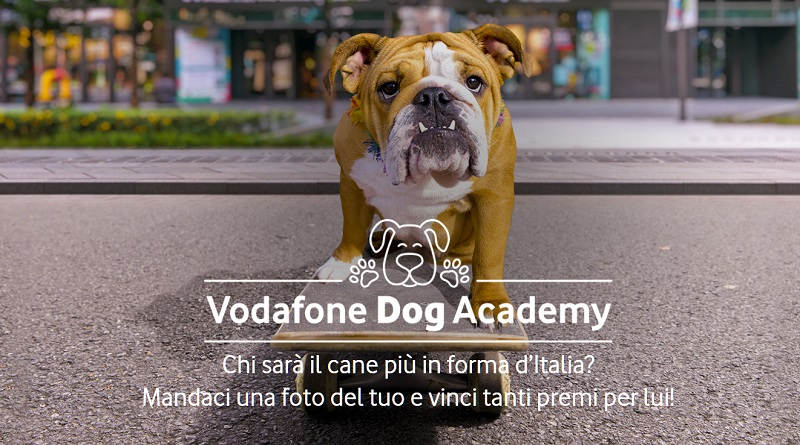 Concorso Vodafone Dog Academy